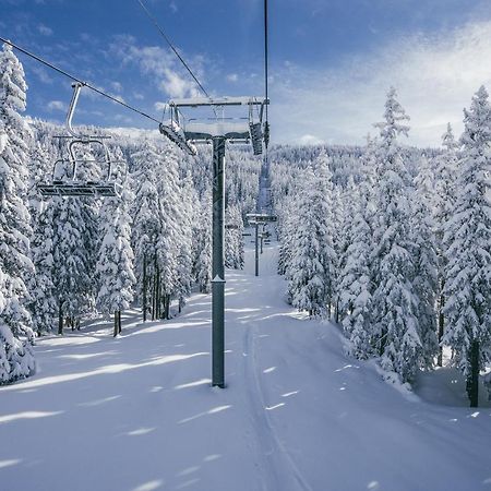Chalet Les Clarines Lägenhet La Rosiere  Exteriör bild