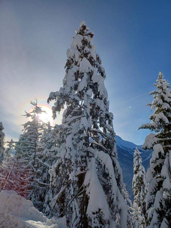 Chalet Les Clarines Lägenhet La Rosiere  Exteriör bild